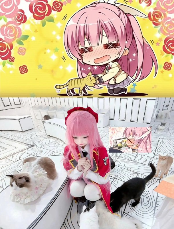 带绫濑来尽情撸猫！#三司绫濑 #riddlejoker #galgame #柚子社 #cos带绫濑来尽情撸猫！#三司绫濑 #riddlejoker #galgame #柚子社 #cos